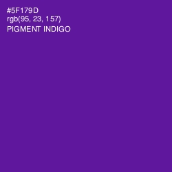 #5F179D - Pigment Indigo Color Image